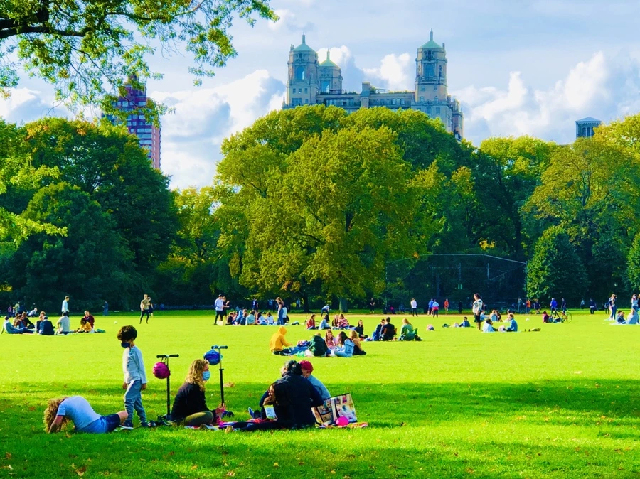 IMG_2080.jpg?type=w966