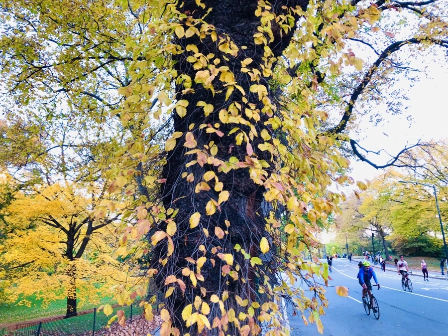 IMG_3684.jpg?type=w966