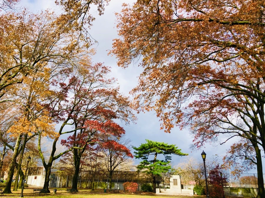 IMG_5503.jpg?type=w966