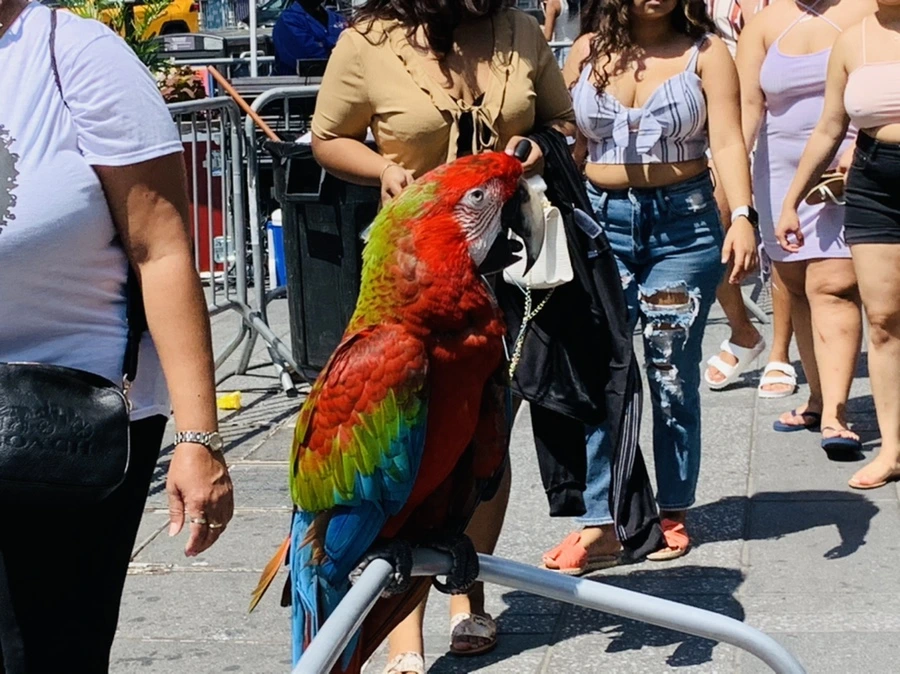 IMG_5442.jpg?type=w966