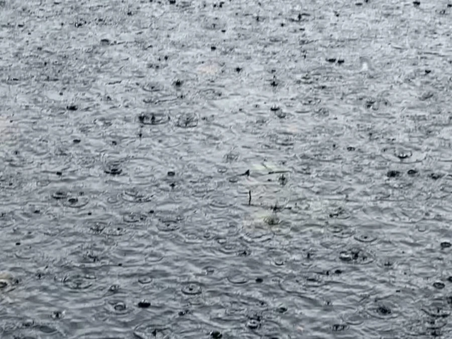 IMG_1737.jpg?type=w966