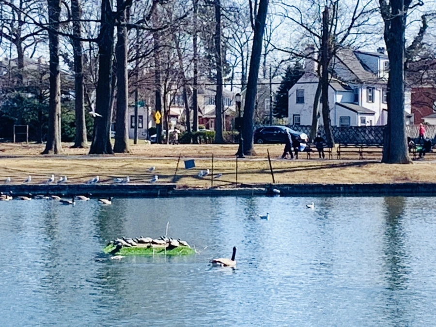 IMG_9581.jpg?type=w966