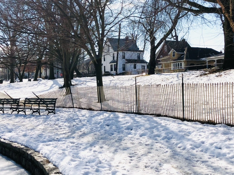 IMG_2967.jpg?type=w966