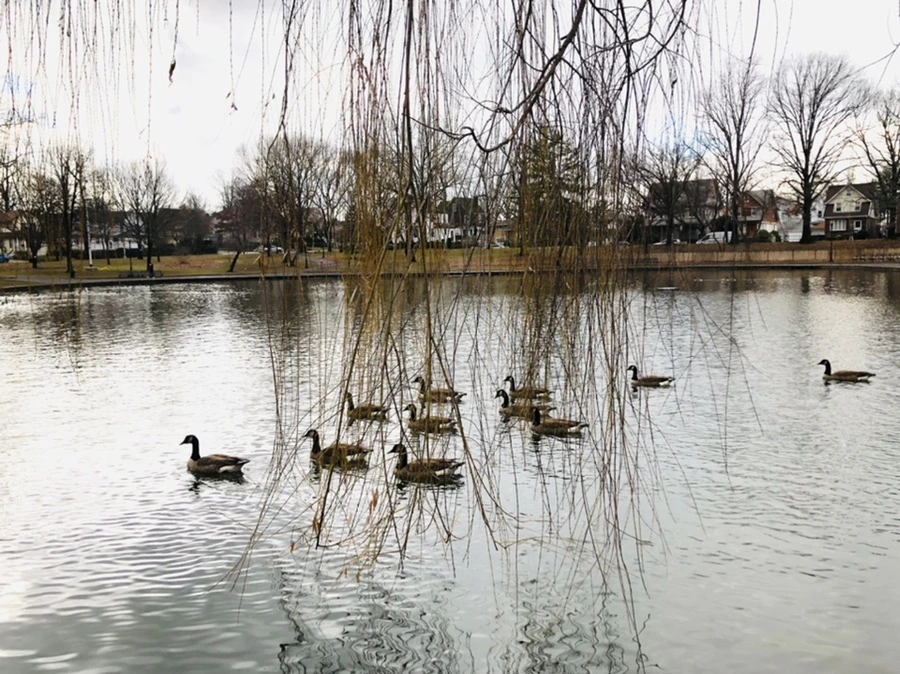 IMG_3464.jpg?type=w966