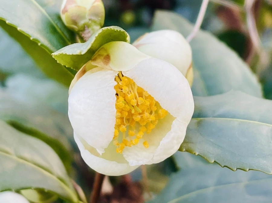 IMG_5941.jpg?type=w966