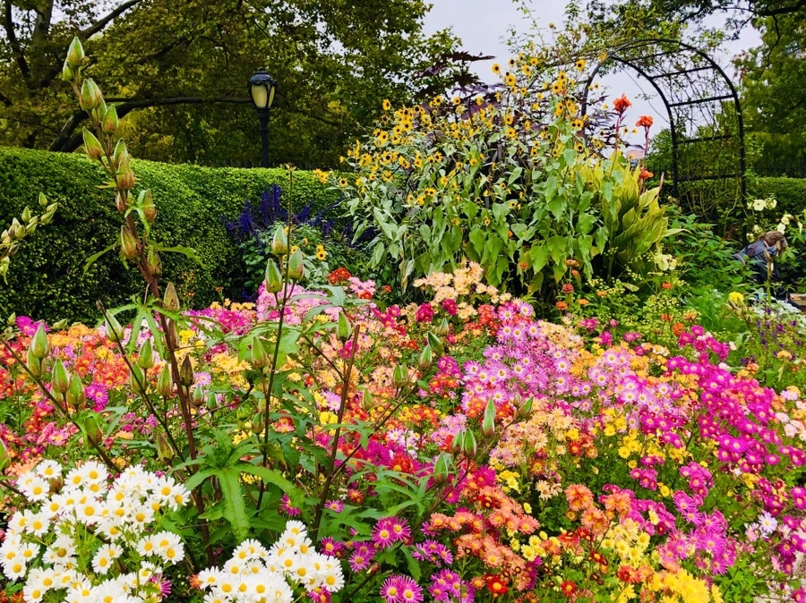 IMG_2534.jpg?type=w966