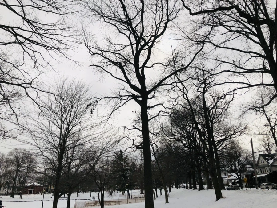 IMG_2625.jpg?type=w966