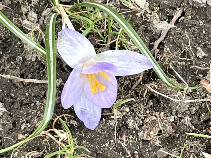 IMG_4068.jpg?type=w966