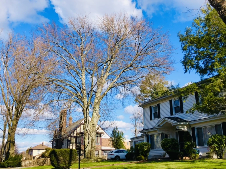 IMG_8424.jpg?type=w966