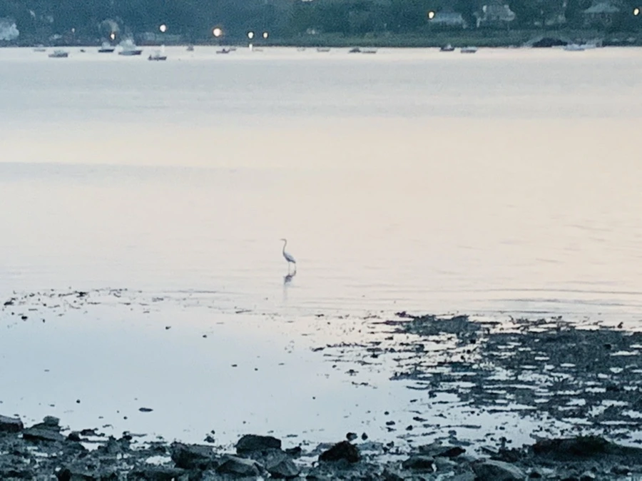 IMG_9542.jpg?type=w966