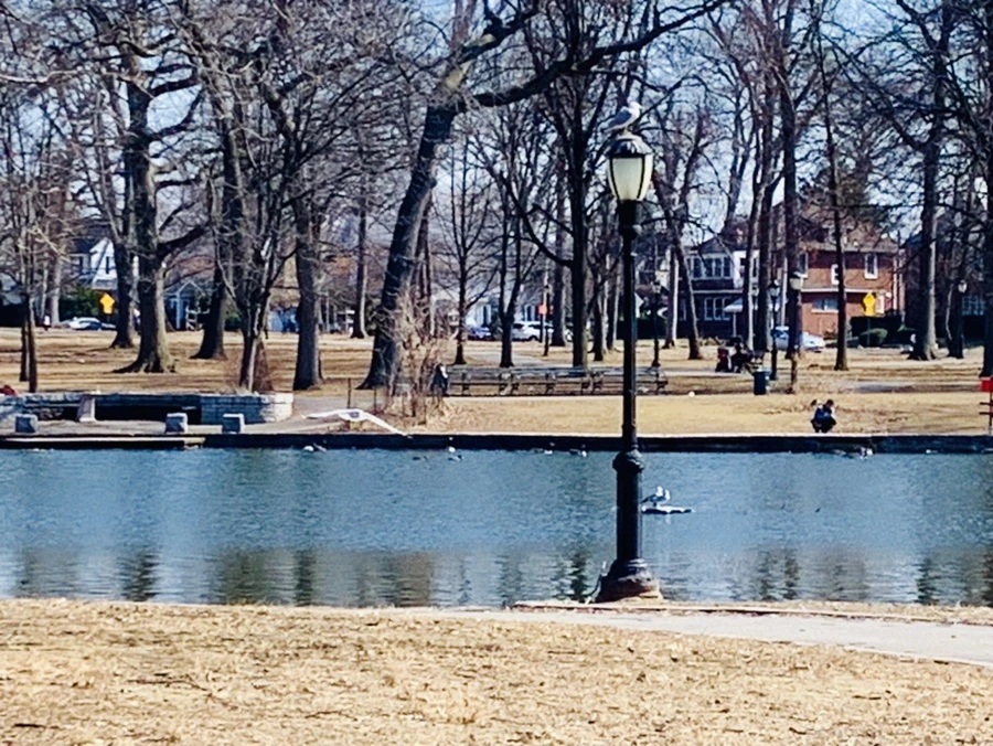 IMG_9597.jpg?type=w966