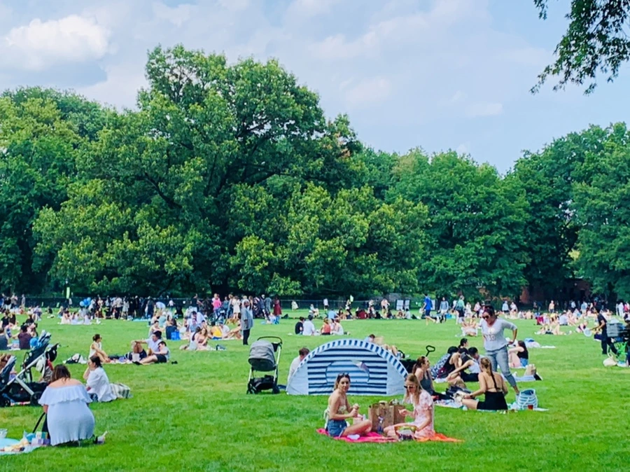 IMG_0573.jpg?type=w966