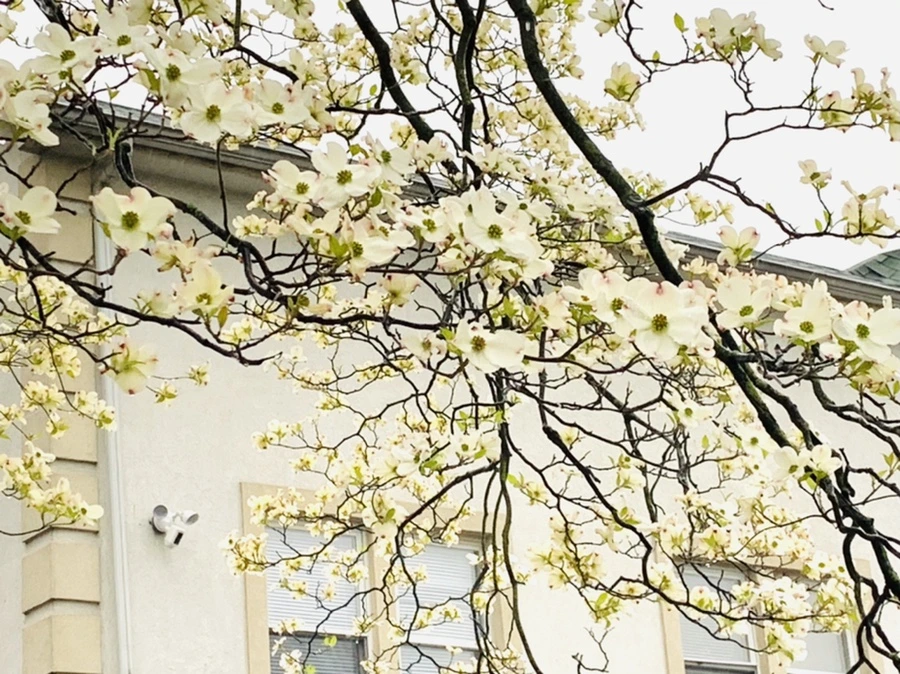 IMG_5318.jpg?type=w966