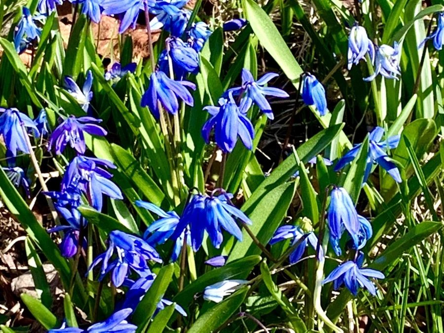 IMG_5518.jpg?type=w966