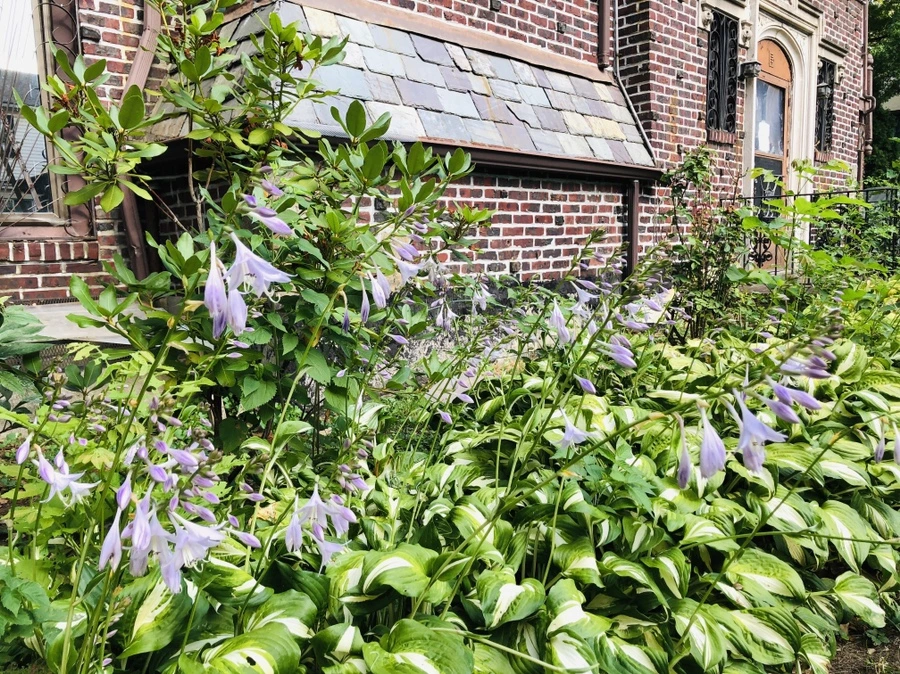 IMG_2016.jpg?type=w966