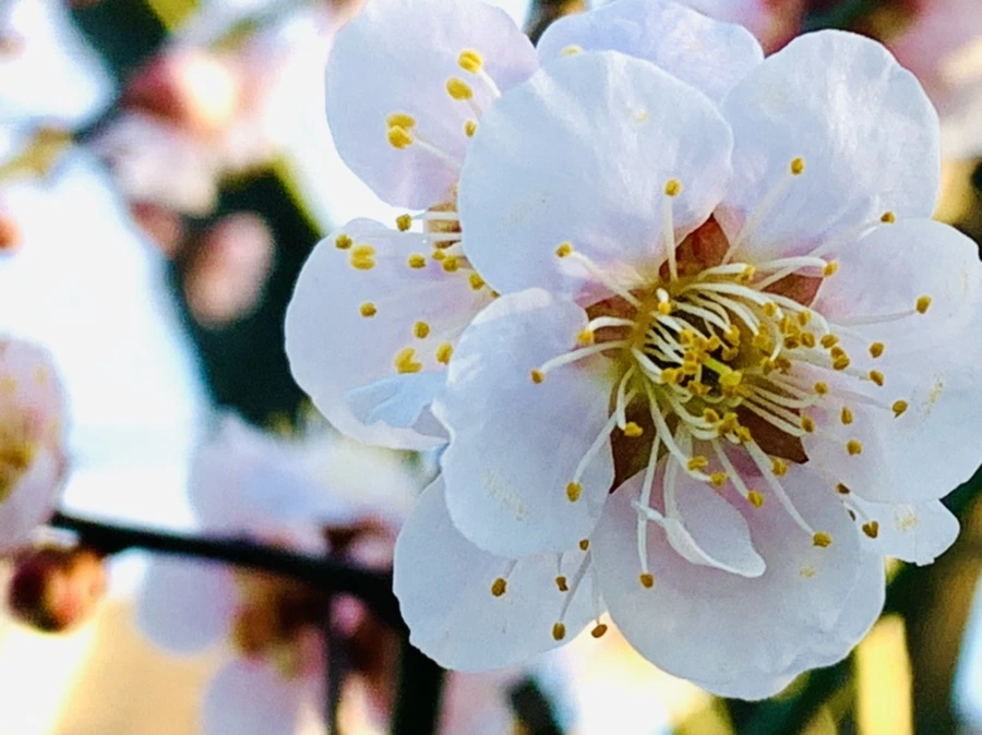 IMG_0784.jpg?type=w966