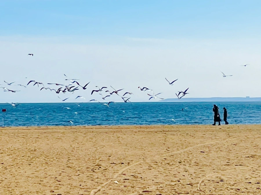 IMG_5026.jpg?type=w966