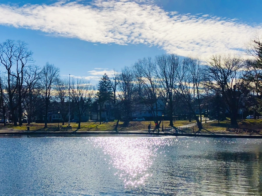 IMG_1230.jpg?type=w966