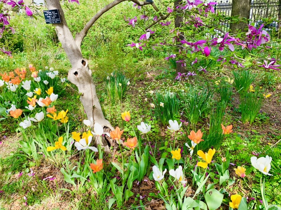 IMG_7012.jpg?type=w966