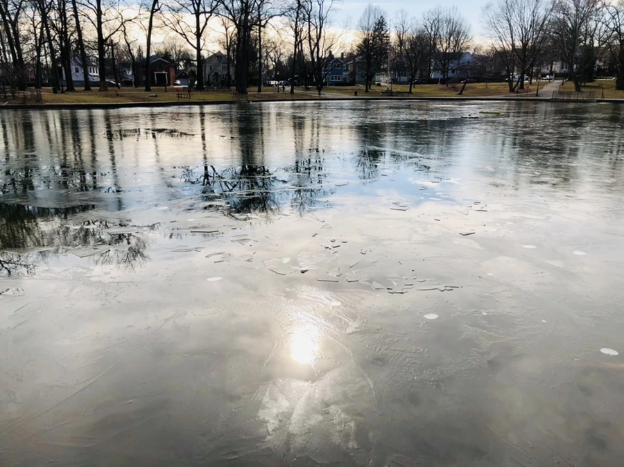 IMG_4743.jpg?type=w966