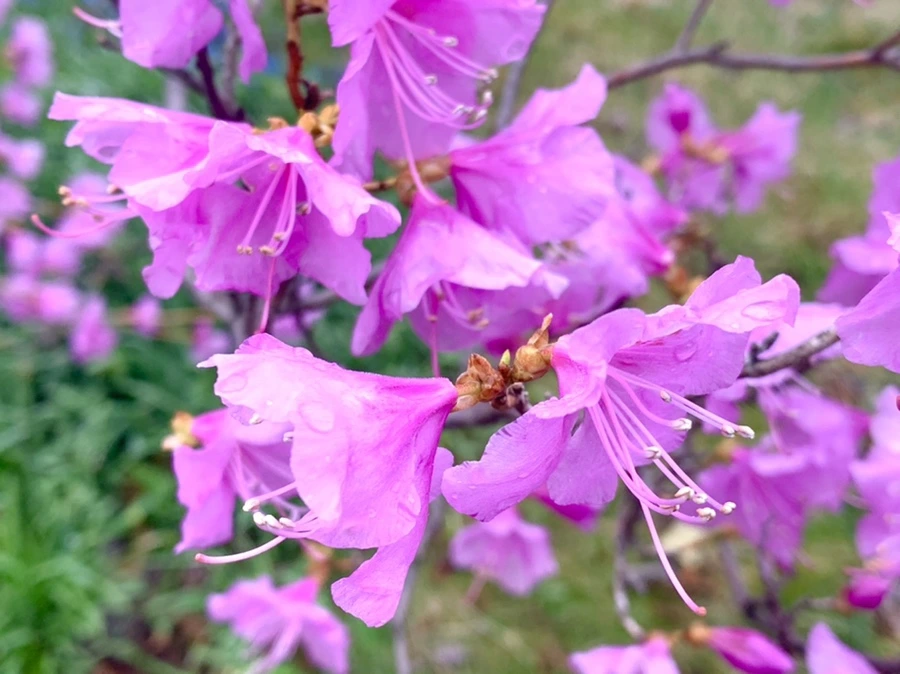 IMG_6141.jpg?type=w966