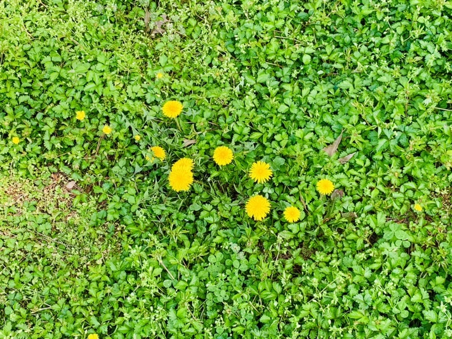 IMG_6819.jpg?type=w966