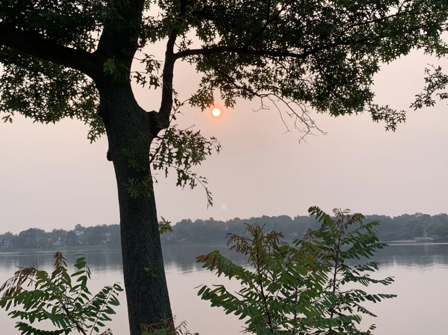 IMG_8187.jpg?type=w966