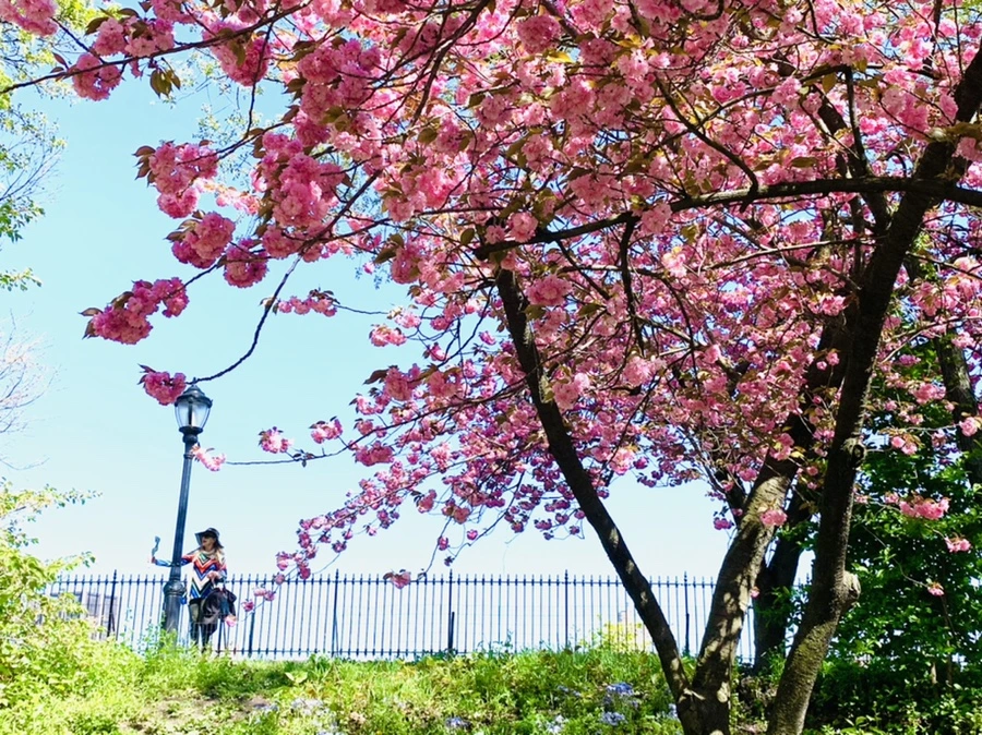 IMG_5890.jpg?type=w966