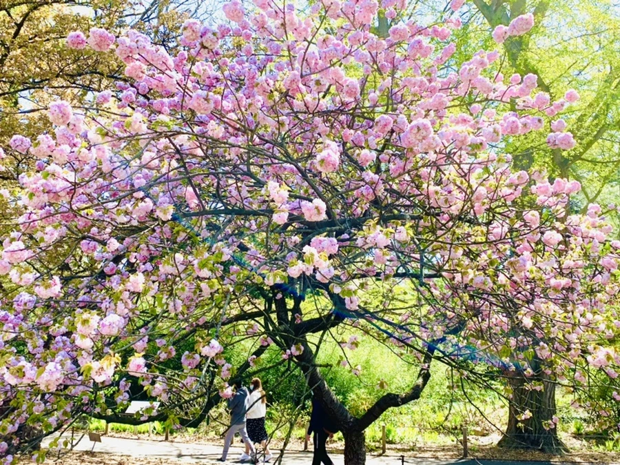 IMG_4646.jpg?type=w966