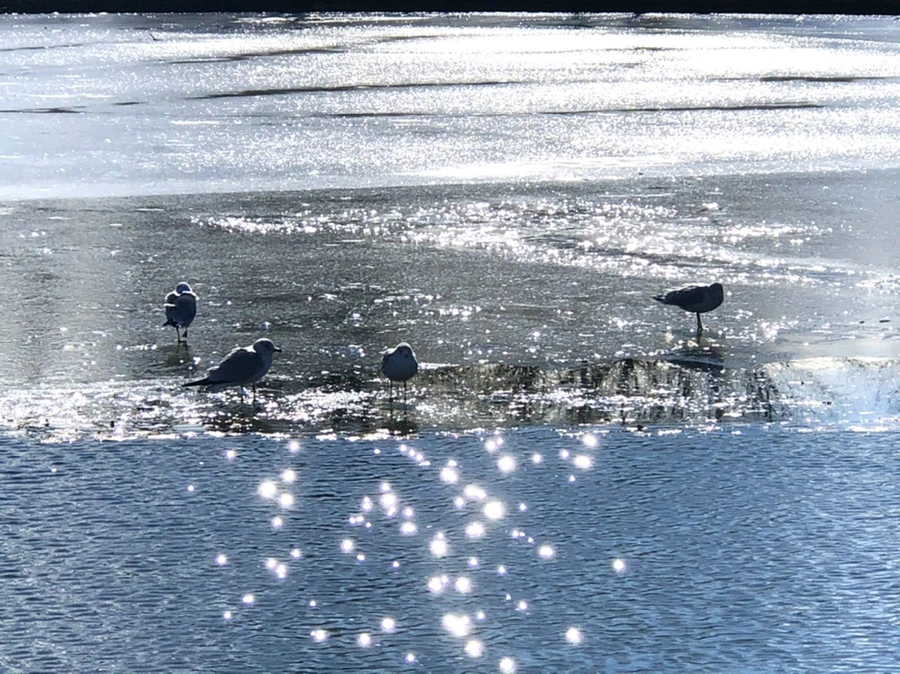 IMG_6840.jpg?type=w966