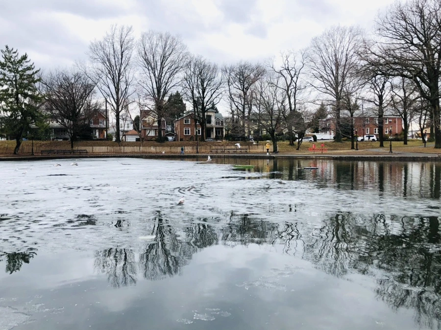 IMG_6408.jpg?type=w966