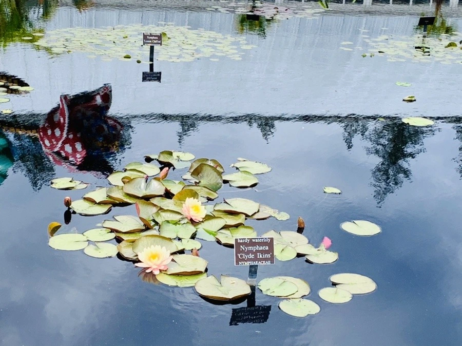 hfrjfB8VW6xUF5iwGX-GklH1_ls