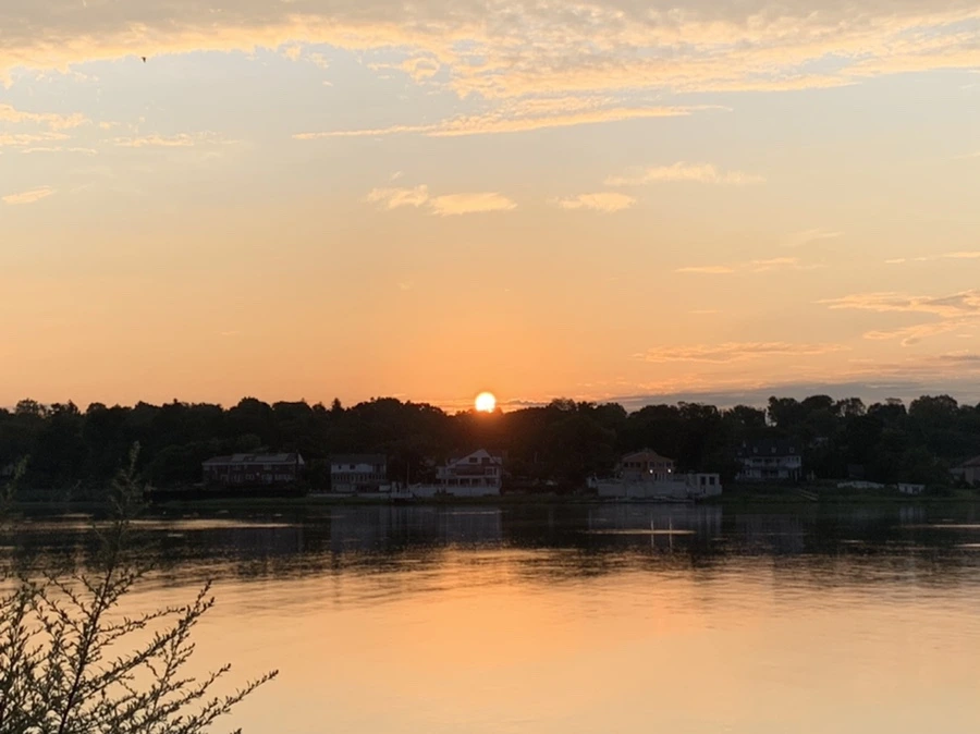 IMG_1267.jpg?type=w966