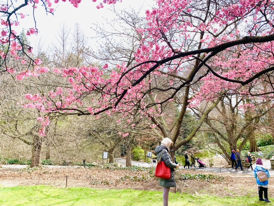 IMG_6430.jpg?type=w966