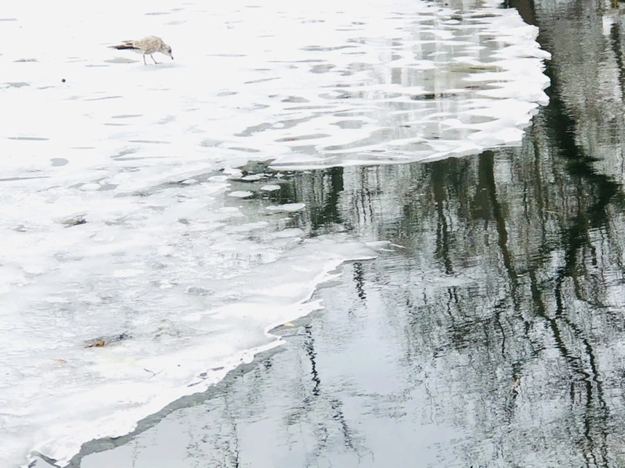 IMG_6509.jpg?type=w966