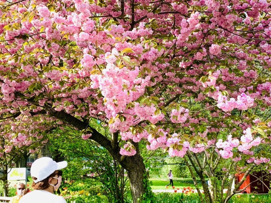 IMG_7041.jpg?type=w966