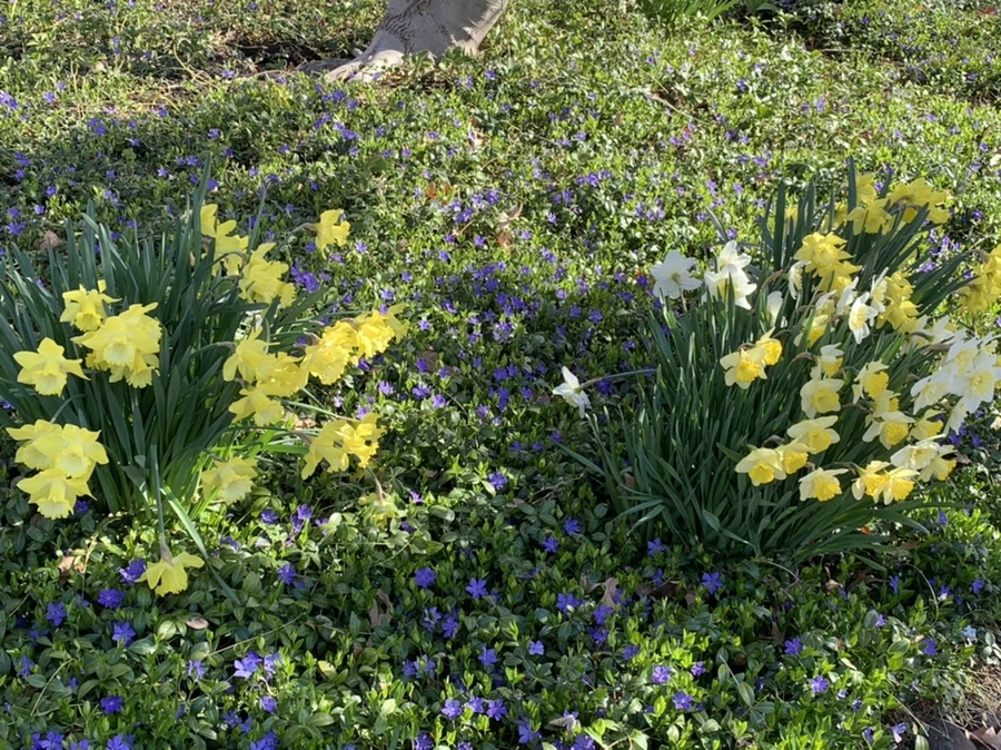 IMG_7509.jpg?type=w966