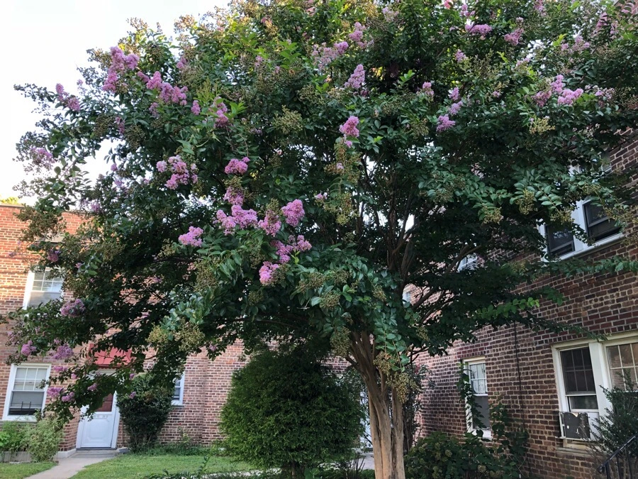 IMG_3793.jpg?type=w966