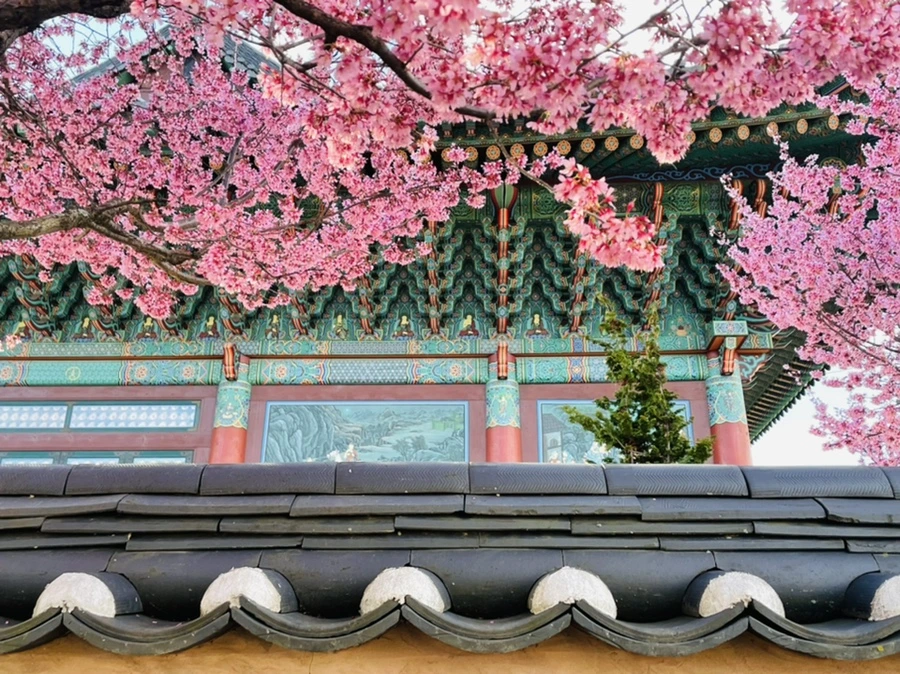 IMG_7575.jpg?type=w966