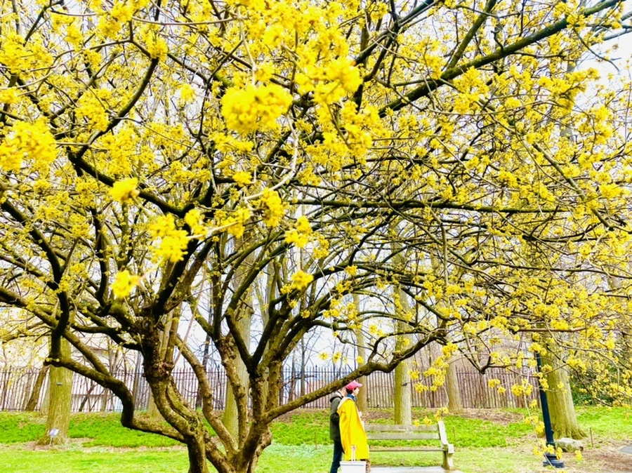 IMG_7501.jpg?type=w966