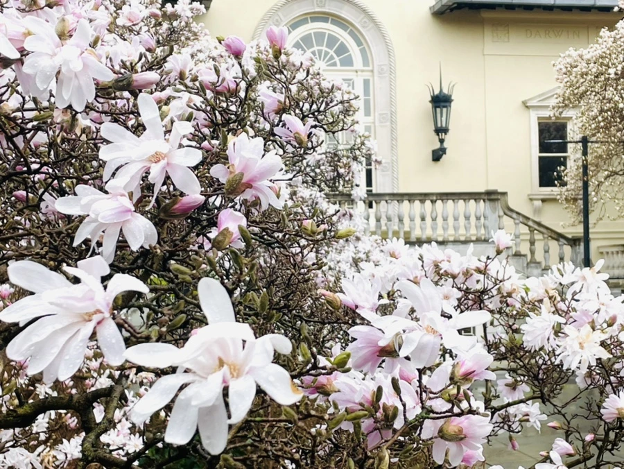 IMG_7368.jpg?type=w966