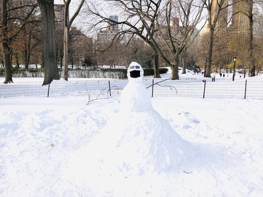 IMG_7076.jpg?type=w966