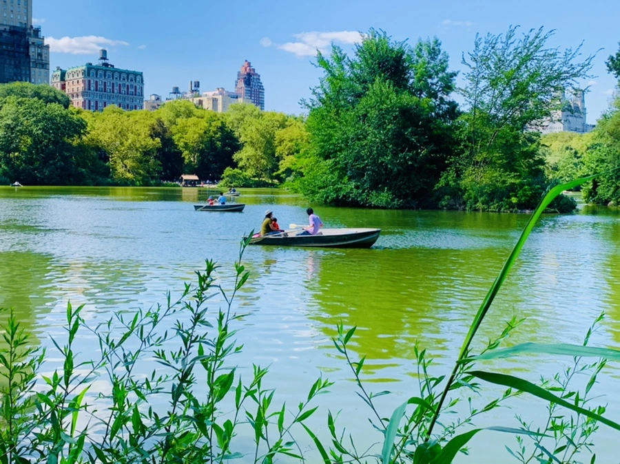 IMG_4476.jpg?type=w966