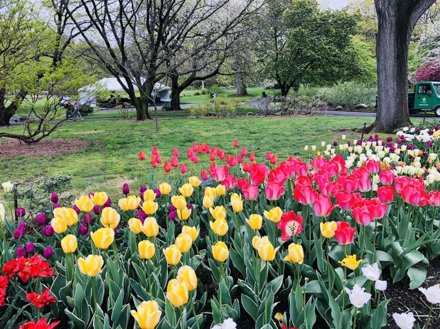 IMG_3736.jpg?type=w966