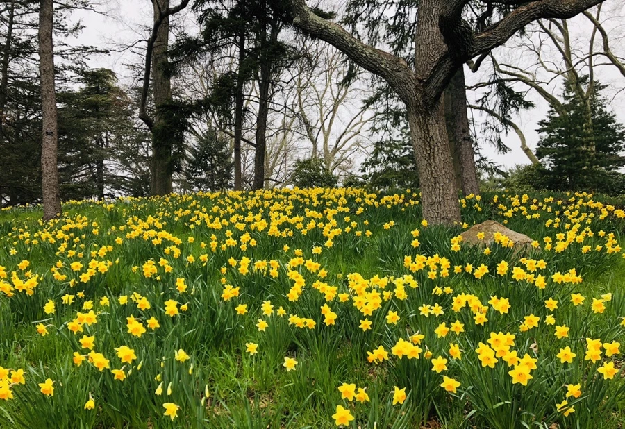 IMG_2347.jpg?type=w966