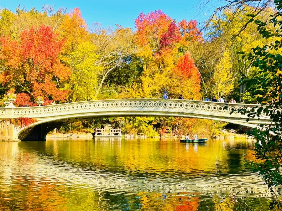 IMG_1650.jpg?type=w966