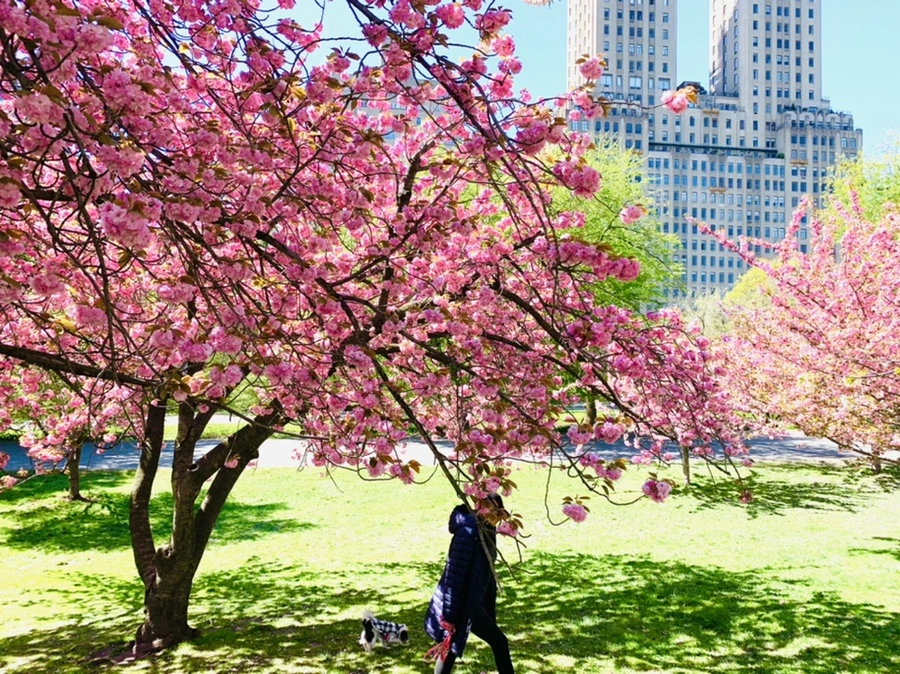 IMG_5885.jpg?type=w966