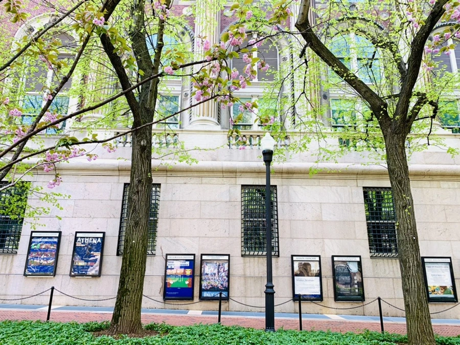 IMG_5074.jpg?type=w966