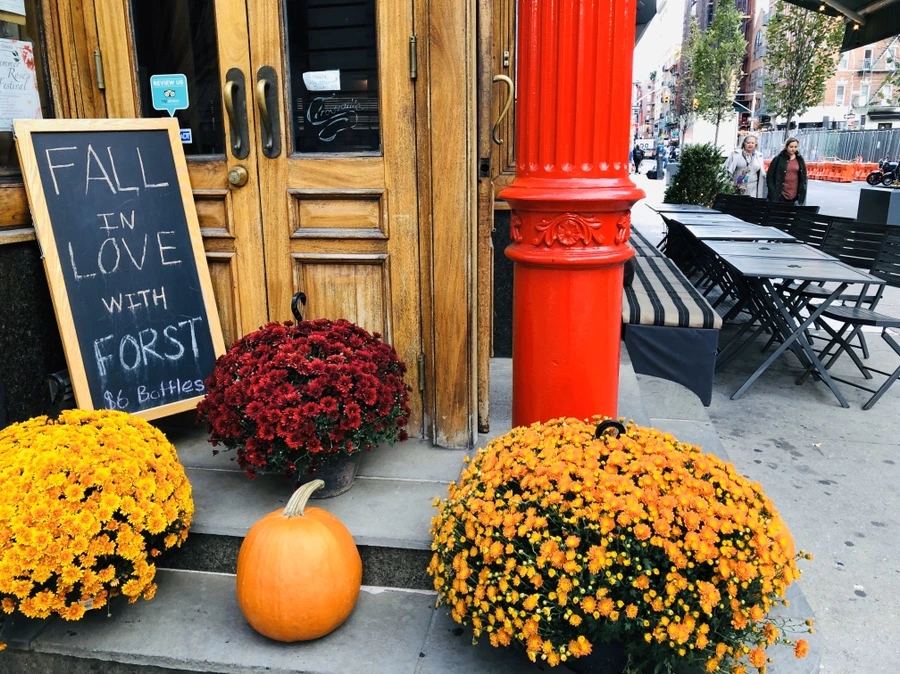 IMG_1115.jpg?type=w966