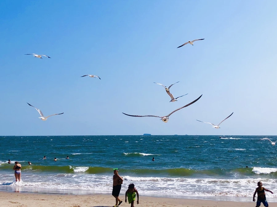 IMG_7251.jpg?type=w966